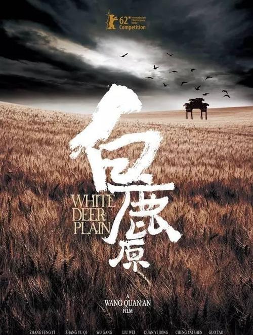 华侨大学自考法学学位证书